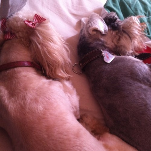 stephoket's profile picture. 