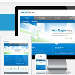 Maddi Web Design has over 4 years of website design, all our sites are compatible with all smart phones for people on the move + we are the cheapest around
