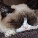 Billy Chu - @Digichu - Twitter