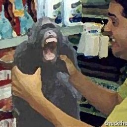 ChuckLaChinga's profile picture. Let Me introduce myself. My name is Johnathan Charles Cook.Most call me Johnny A few call me Chuck La Chinga.