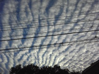 災害とかもなくて みんなが平穏無事に過ごせますように(__)