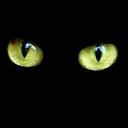 Dan Raver Z - @DanRaver - Twitter