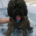 Jan Redding - @1hawaiilover - Twitter