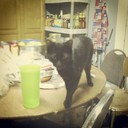 Forrest Jamal - @ForrestJamal768 - Twitter