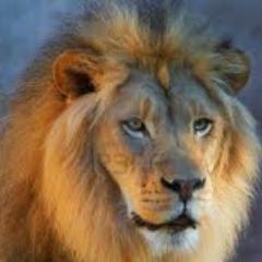 Am looking for true & real friends from all over the world. 4 Leisure & biz.