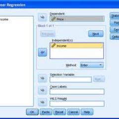 SPSS Software, just the tool to use for linear regression and the schematic tests!