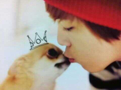 FTisland Honggi (ro)bot *2013.03.14~