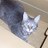 bucchin1972's profile image