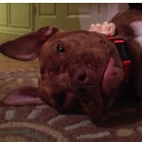 jeff greengrass (@jeffgreengrass) 's Twitter Profile