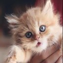 رهووف (@098_654) Twitter