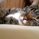 Willy Carter - @willycarte - Twitter