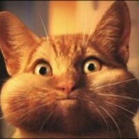 Сенька Васечкин (@goblonikh) 's Twitter Profile