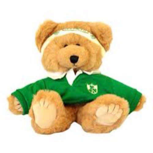 Wexford born Leinster/Ireland Rugby player (parody)