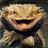 Lagarto_Eugenio's profile image