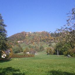 bodnaruk's profile picture. 