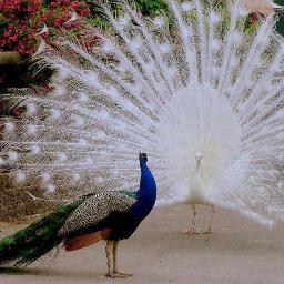 Simple n frndly bt not tolerating nonsense