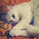 Calvin Ali - @CalvinAli309 - Twitter