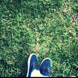 pedro_garlaschi's profile picture. Pedro Garlaschi is an Programer based in London.