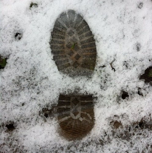 sluceno's profile picture. 