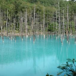 takatsuki___'s profile picture. 