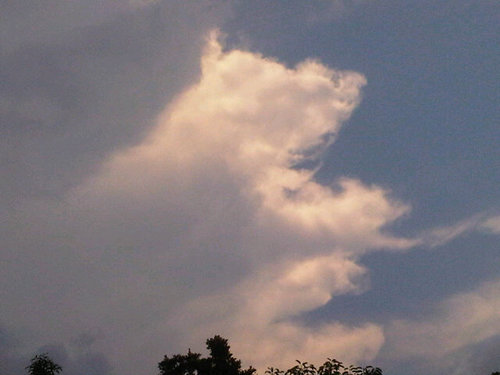 WOW_taeyang's profile picture. 