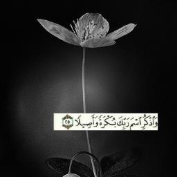 صدقه جاريه على نيه مسرح العتيبي