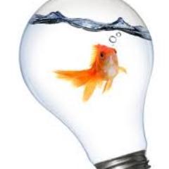 MarkeTIsing | the fresh ideas complilation