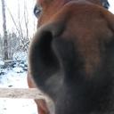 Melanie Hull - @EmDeeHull - Twitter