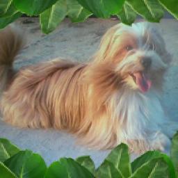 Mientras mas conozco a la gente, mas quiero a mi perro.