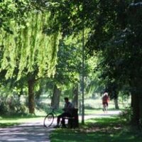 ChelmsHealth (@chelmshealth) 's Twitter Profile