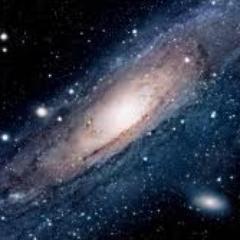 mulecanter's profile picture. 