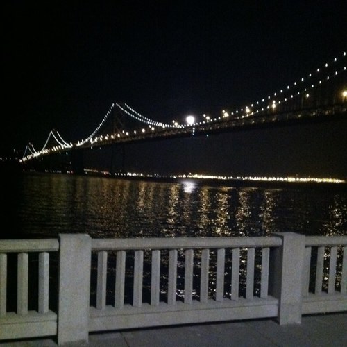 TerryTiegel's profile picture. 