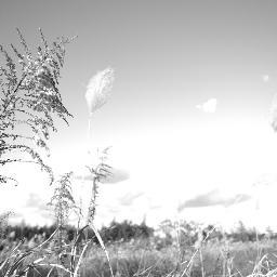 word2vector's profile picture. 注意：演算子+-と単語の間には半角スペースをお願いします．語彙は有限です（現在約100万語）．現状辞書に無い単語には返信しない仕様ですのであらかじめご了承くださいませ. \．