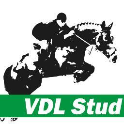 vdlbrasil's profile picture. 