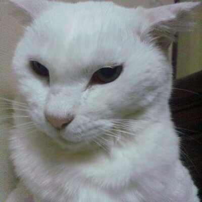 レア】全種セット　amie クリアファイル　早稲田ちえ　武内直子 🇯🇵いちさま🎸🎹🥁🎶🌸 on X: 