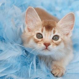 #ВесеннийФоловинг
#рукоделие и хобби женщины