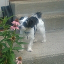 Nancy Kellerman - @Nancy71195572 - Twitter