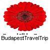 BudapestTrip's profile picture. Hi this is Monika at Budapest Travel Trip. your PRIVATE GUIDE and program service Budapest and Hungary. Follow us.