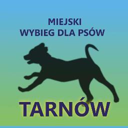 Projekt do Budżetu Obywatelskiego Miasta Tarnowa 2012 i 2014. Bez szans ze starciem z projektami placówek publicznych i remontami ulic.