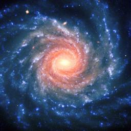 millennium3info's profile picture. Visit us at: http://t.co/HBZ2JCrKur

Your guide to the third millennium A.D. - The Future, Science, Technology & More!