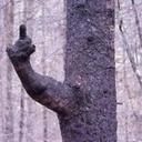 Daniel Toquero - @Sr_tokero - Twitter