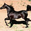 nick daigle - @amerianpaint - Twitter