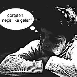 bayramoveli1's profile picture. 