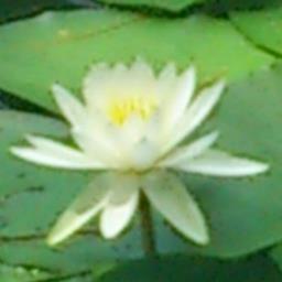 spetum's profile picture. 평화는 구걸하는 것이 아니고 기회는 만드는 것이지 남의 것을 뺐아 나의 것으로 만드는 것이 아니다. 
x86/AMD64 Assembly, C++/STL을 좋아합니다.
다시는 되돌아가고 싶지 않은 Server Vault stay.
정치적인 멘션은 가급적 회피하려고 합니다.