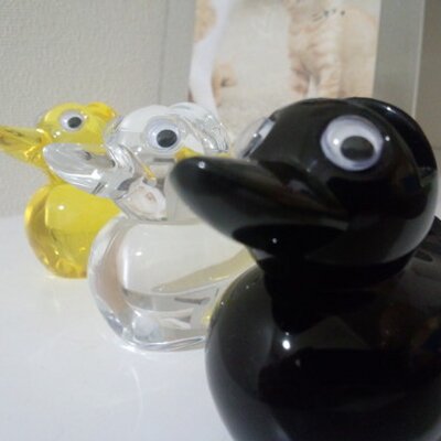 黒アヒル33 Brackahiru Twitter 黒アヒル33 Brackahiru Twitter