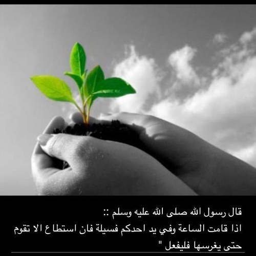 ومن يتوكل على الله فهو حسبه.... لو عرفنا قيمة الاستغفار ما تركناه لحظه ..استغفر الله عدد خلقه ورضا نفسه وزنة عرشه ومداد كلماته