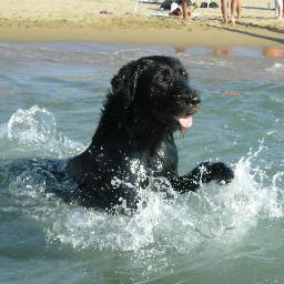 VaniaFornaciari's profile picture.