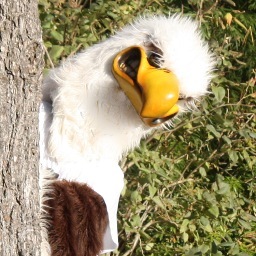 PostUActivities's profile picture. 