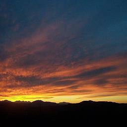 GCoriani's profile picture. 