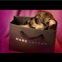 Wilson Beau - @WilsonBeau228 - Twitter